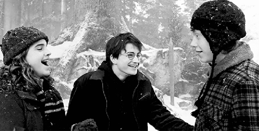 1419267410-harry-ron-hermione