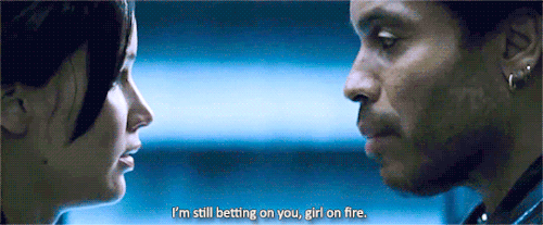 cinna.gif